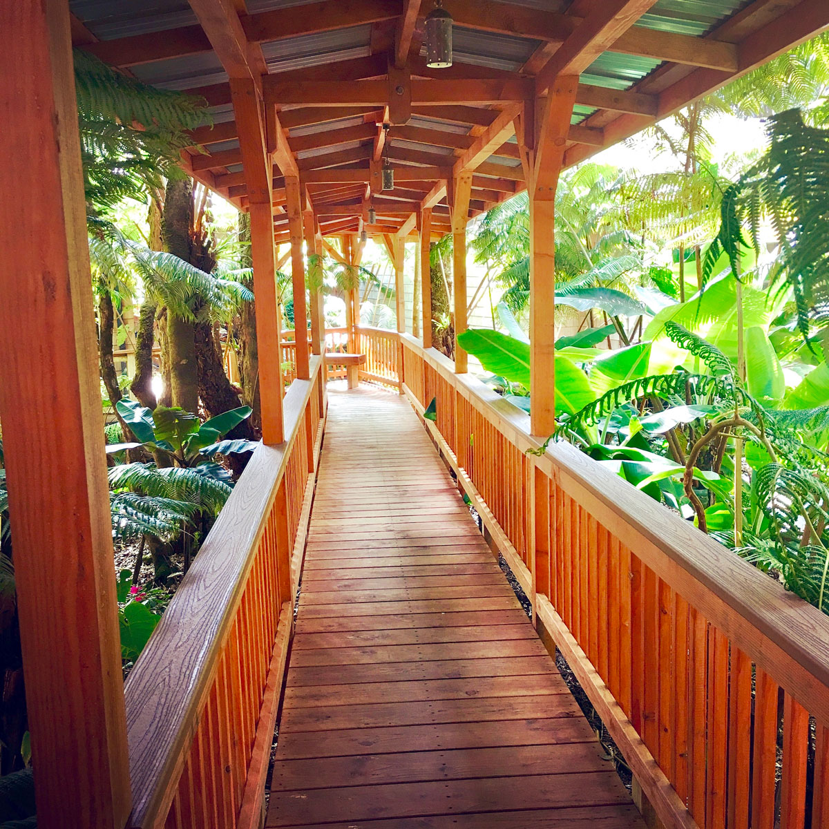 walkway to forest spa at our Lodging Near Volcanoes National Park