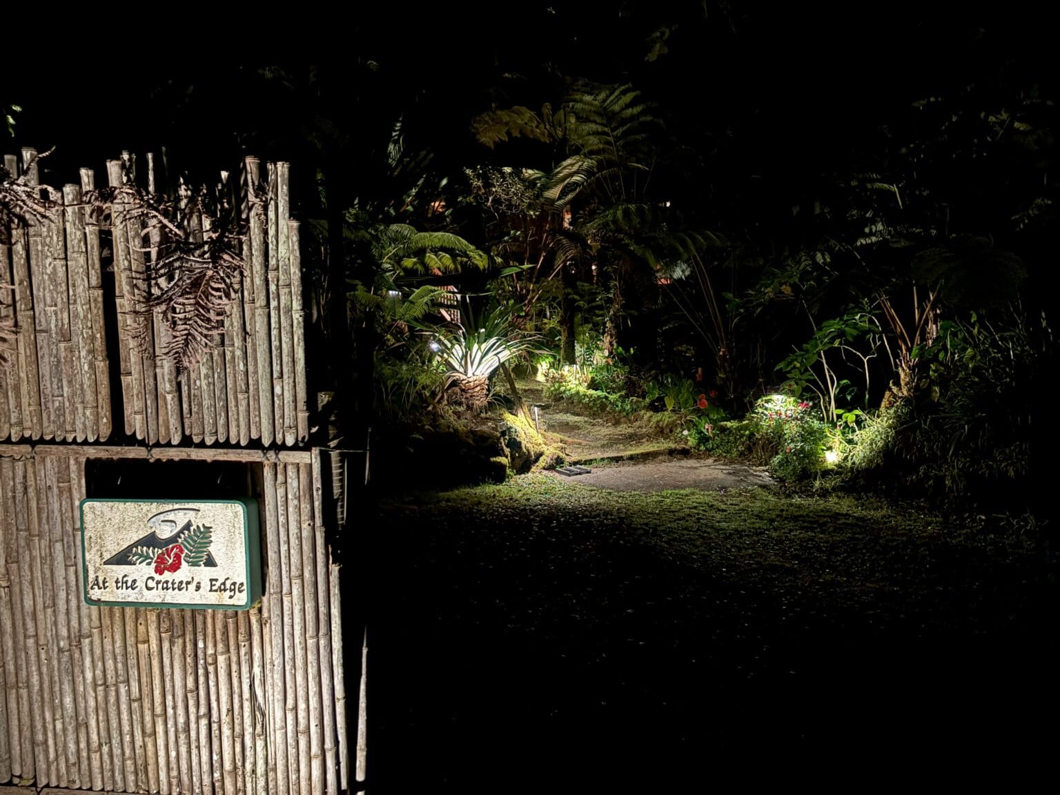 Illuminated path leading through forested driveway to At the Crater's Edge inn