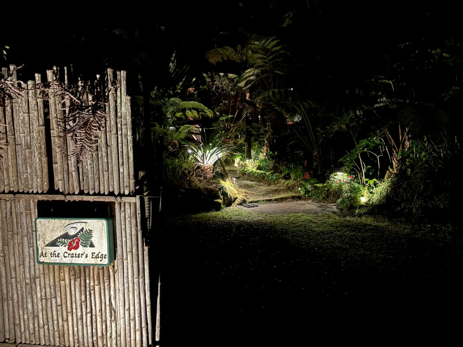 Illuminated path leading through forested driveway to At the Crater's Edge inn