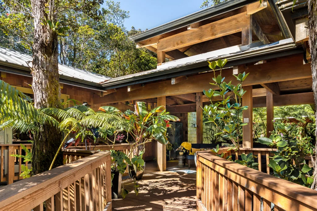 entryway to At the Crater's Edge with rainforest foliage