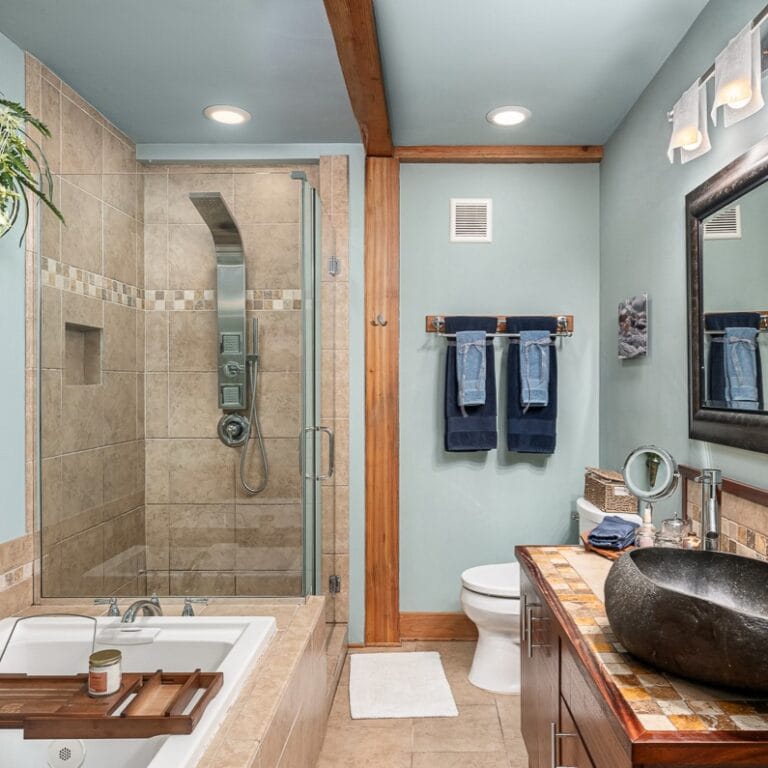 spa-inspired bathroom with shower, jacuzzi tub, tropical and volcano accents